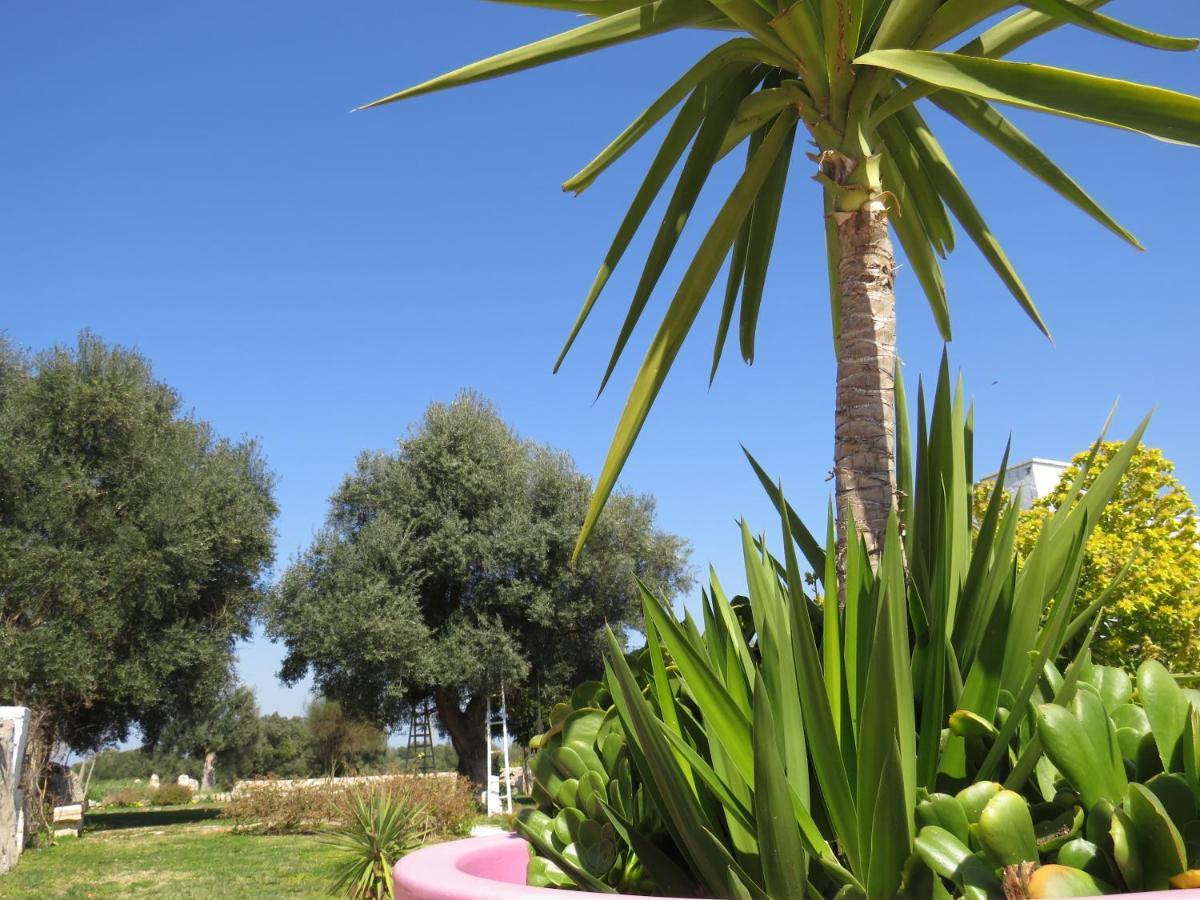 Masseria Borgo Santuri ออสตูนี ภายนอก รูปภาพ